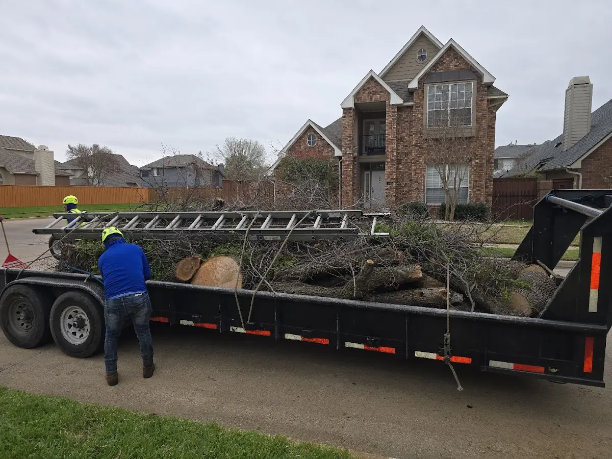 Expert Crown Reduction with proper safety equipment in Waveland